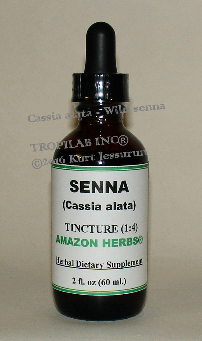 Cassia alata - Wild senna tincture, only for US$18.65 per 2 fl oz. Senna is a powerful herb, used in the natural treatment of
 constipation. It is used skin conditions and hypertension. It is very effective as an antibacterial and antifungal agent